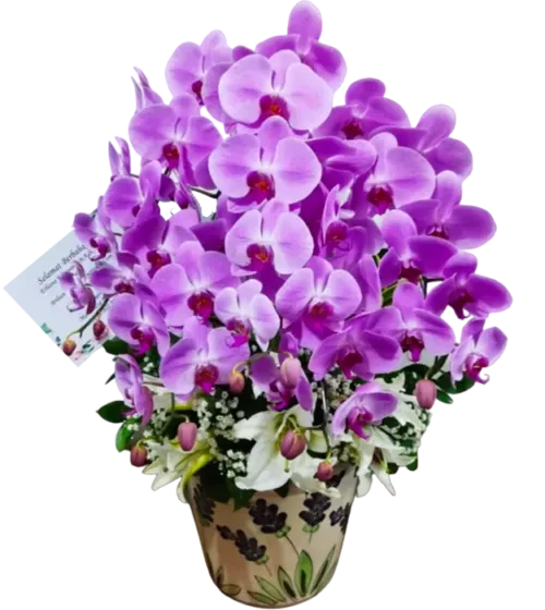navie-bunga-meja-dari-athaya-dengan-rangkaian-6-tangkai-anggrek-orchid-dan-baby-breath